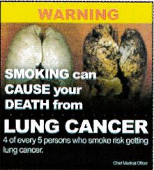 Jamaica 2013 Health effects lung - cancer, diseased organ (back)